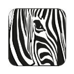 Claymore Hartschalenkoffer 50 cm in zebra