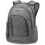 Dakine 101 29L Rucksack